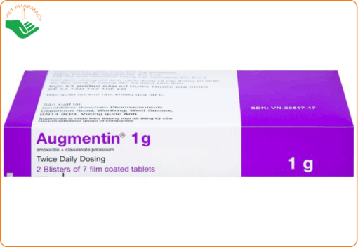 Thuốc Augmentin 1g giá bao nhiêu​? Cách dùng ra sao?